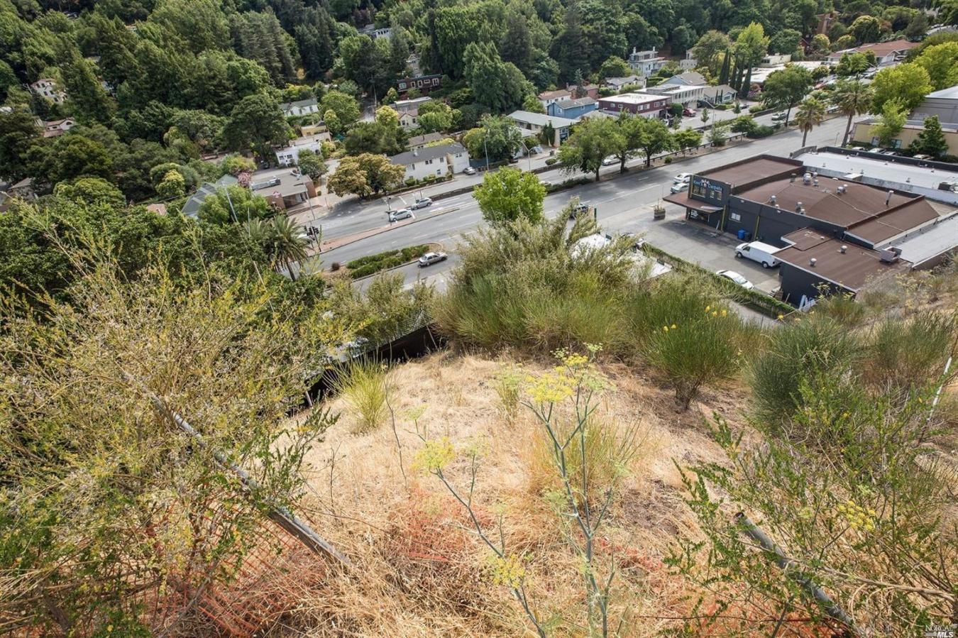 51 El Camino Avenue, San Rafael, Marin, 94901, United States, ,Residential,For Sale,51 El Camino Avenue,225578