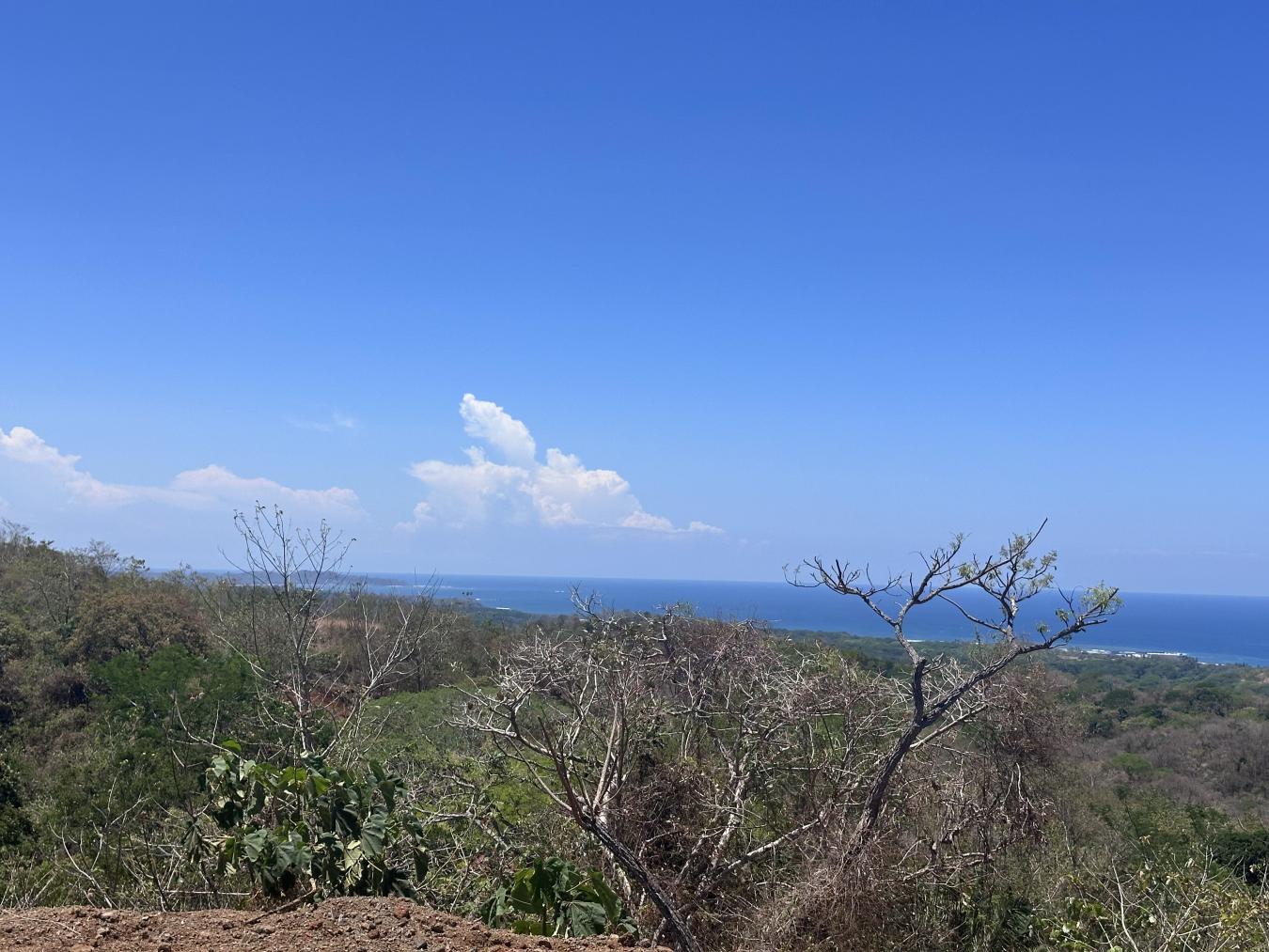 Build your custom dream home in this new development offering a unique – image 9