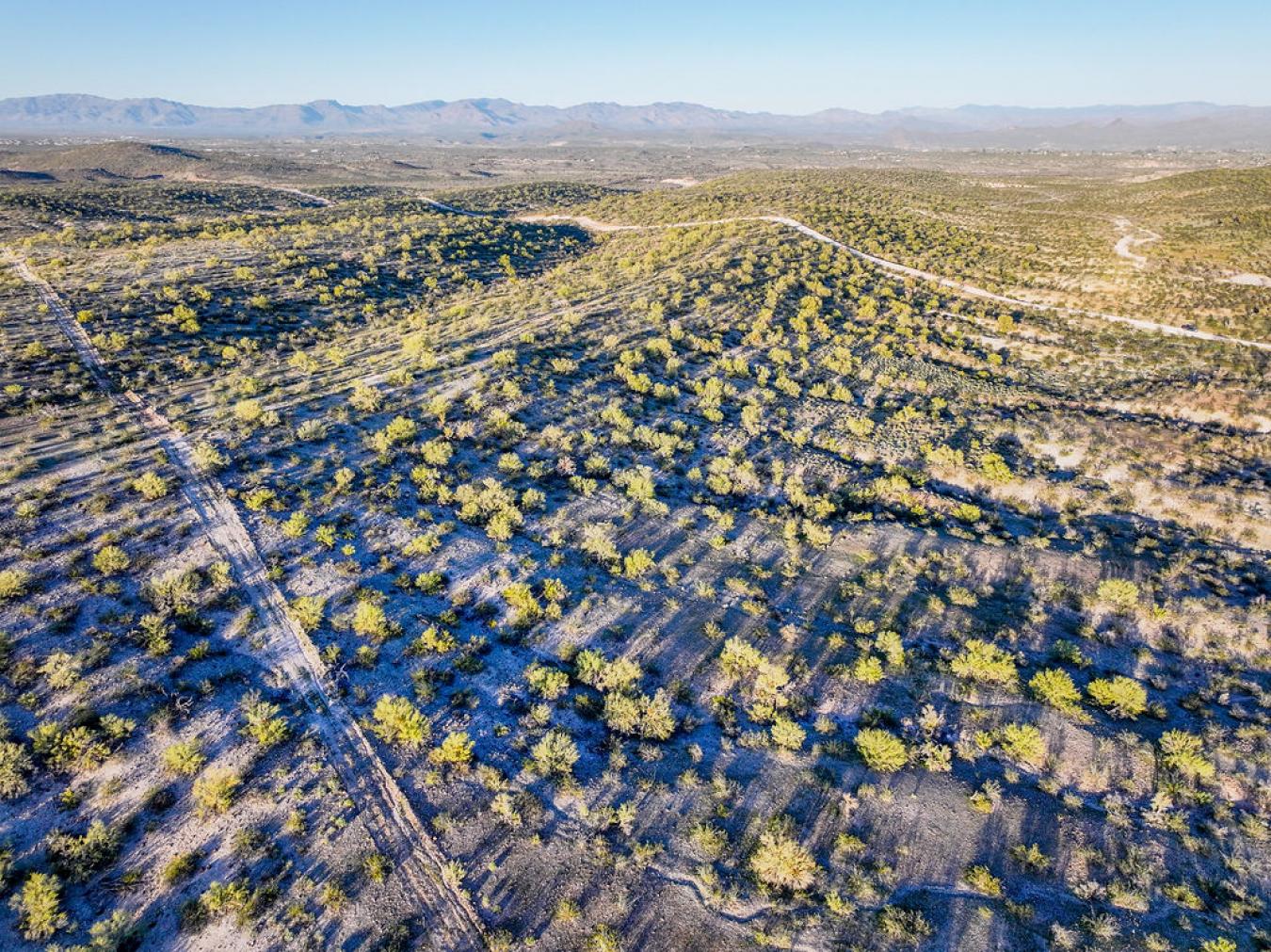 Wickenburg, Maricopa, 85390, United States, ,Residential,For Sale,2040791