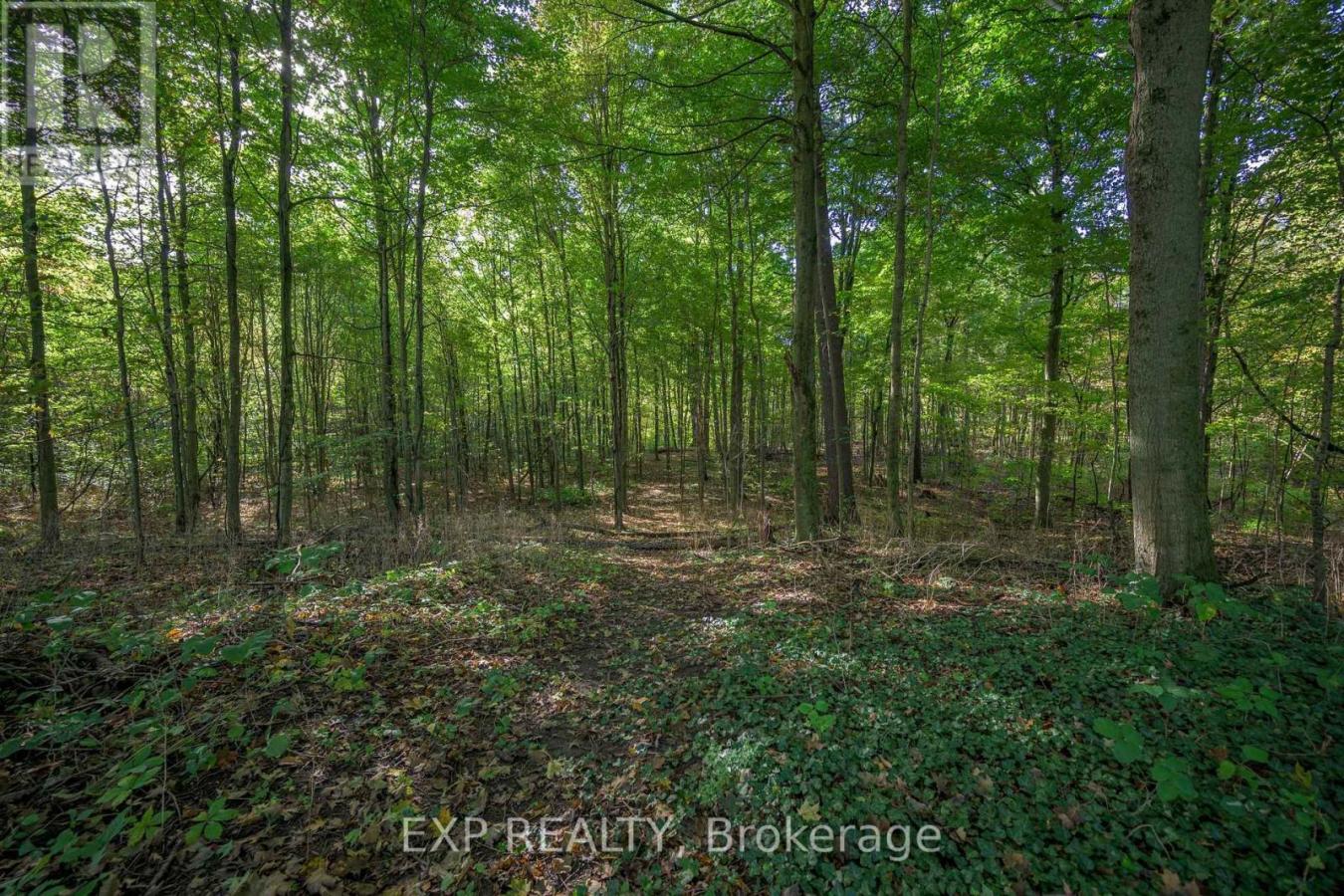 Norfolk, ON, N4B 2W6, Canada, 4 Bedrooms Bedrooms, ,3 BathroomsBathrooms,Residential,For Sale,2043057