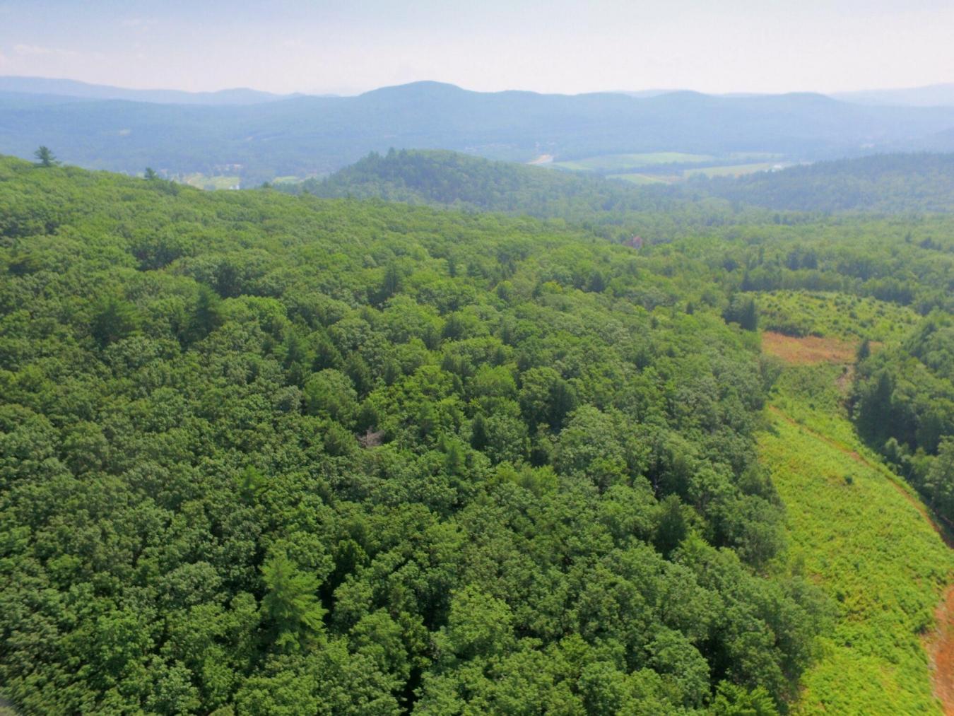 Privacy galore yet only 1 mile to downtown! This listing is comprised – image 2