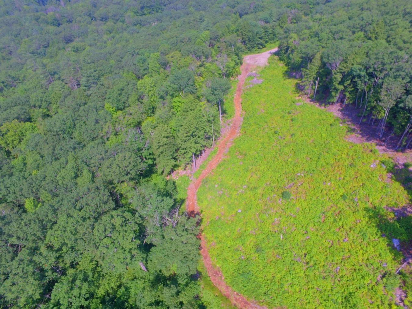 Privacy galore yet only 1 mile to downtown! This listing is comprised – image 11