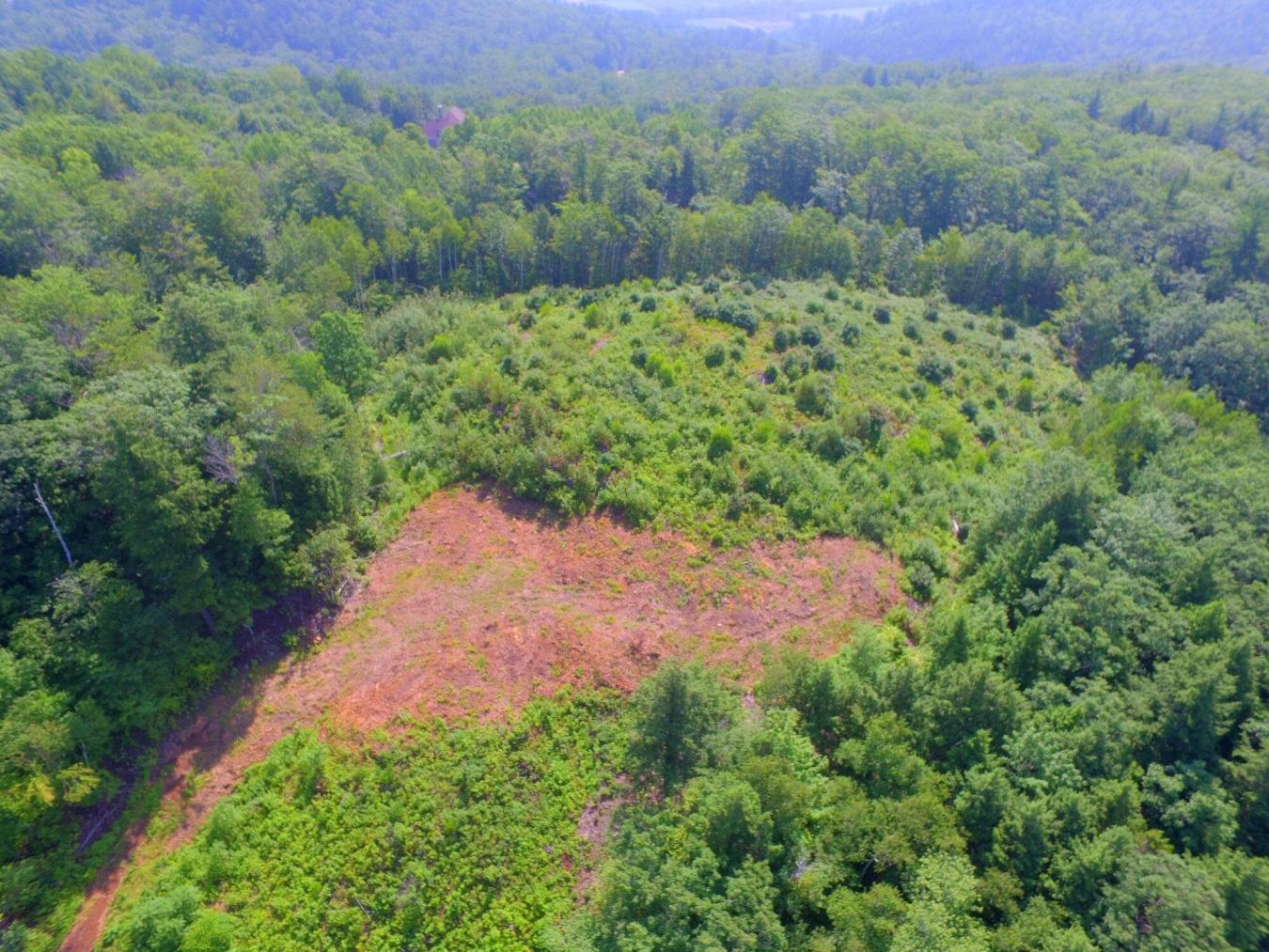 Privacy galore yet only 1 mile to downtown! This listing is comprised – image 12