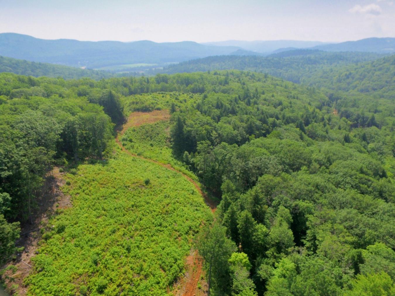 Privacy galore yet only 1 mile to downtown! This listing is comprised – image 14