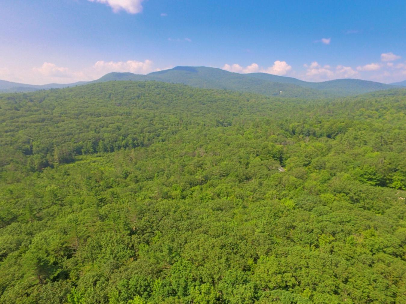 Privacy galore yet only 1 mile to downtown! This listing is comprised – image 15