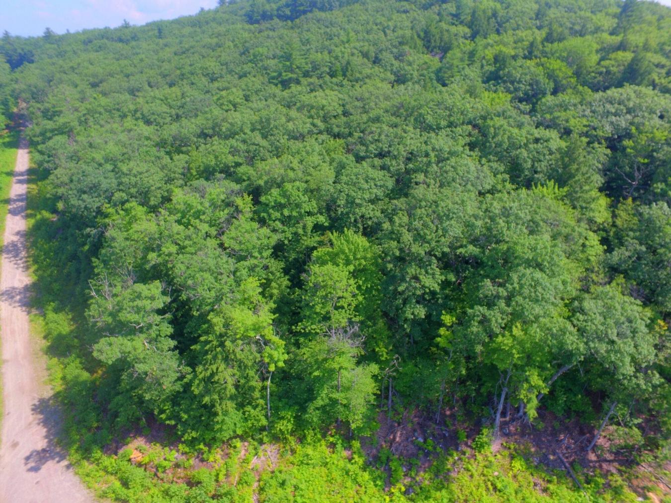 Privacy galore yet only 1 mile to downtown! This listing is comprised – image 16