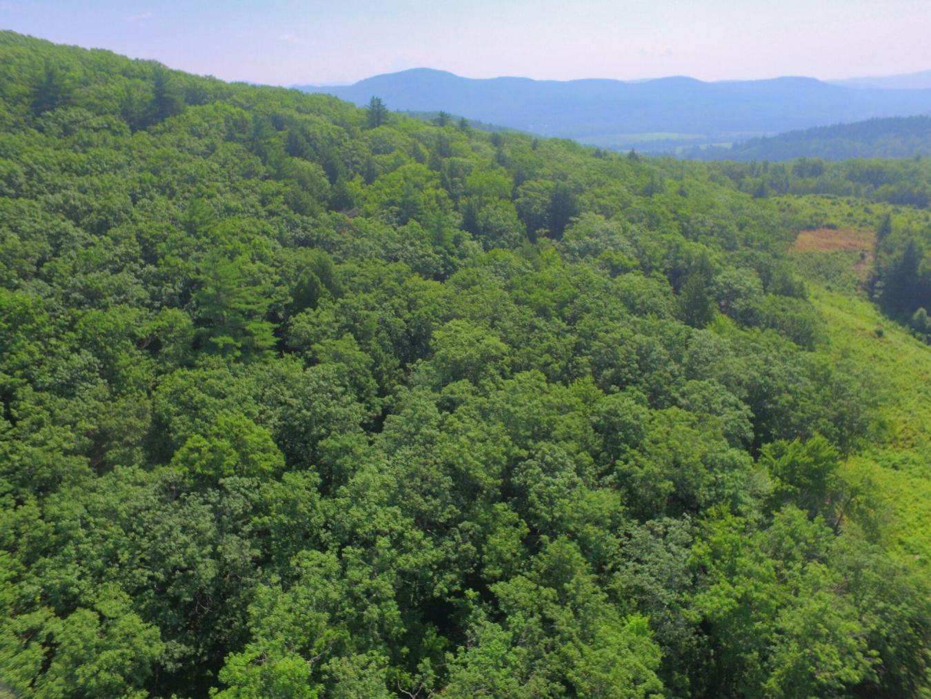 Privacy galore yet only 1 mile to downtown! This listing is comprised – image 4