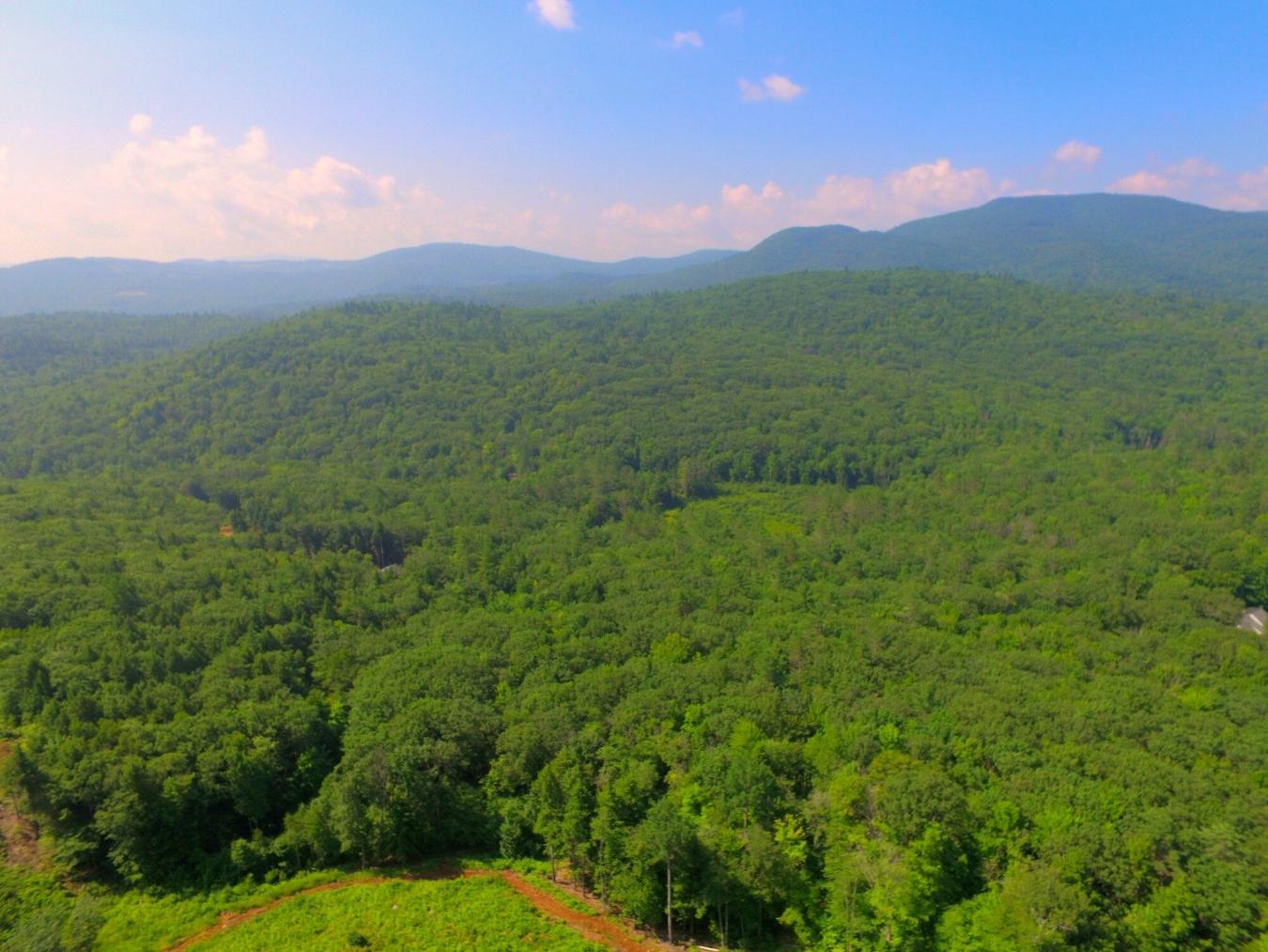 Privacy galore yet only 1 mile to downtown! This listing is comprised – image 5