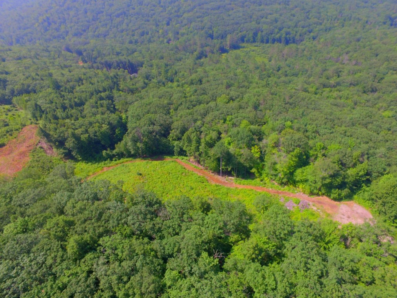 Privacy galore yet only 1 mile to downtown! This listing is comprised – image 7