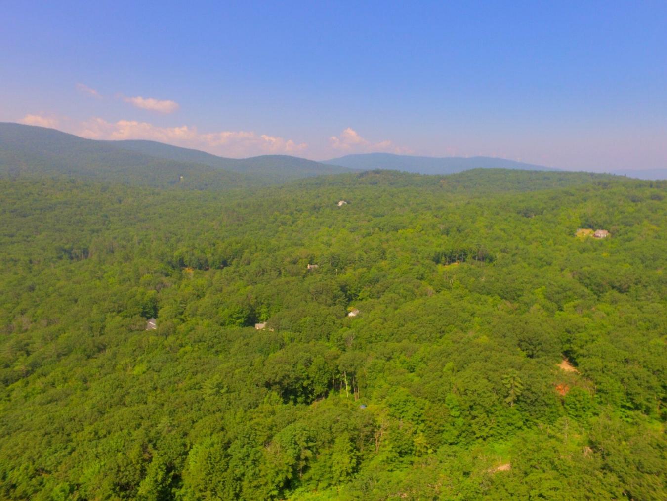 Privacy galore yet only 1 mile to downtown! This listing is comprised – image 8