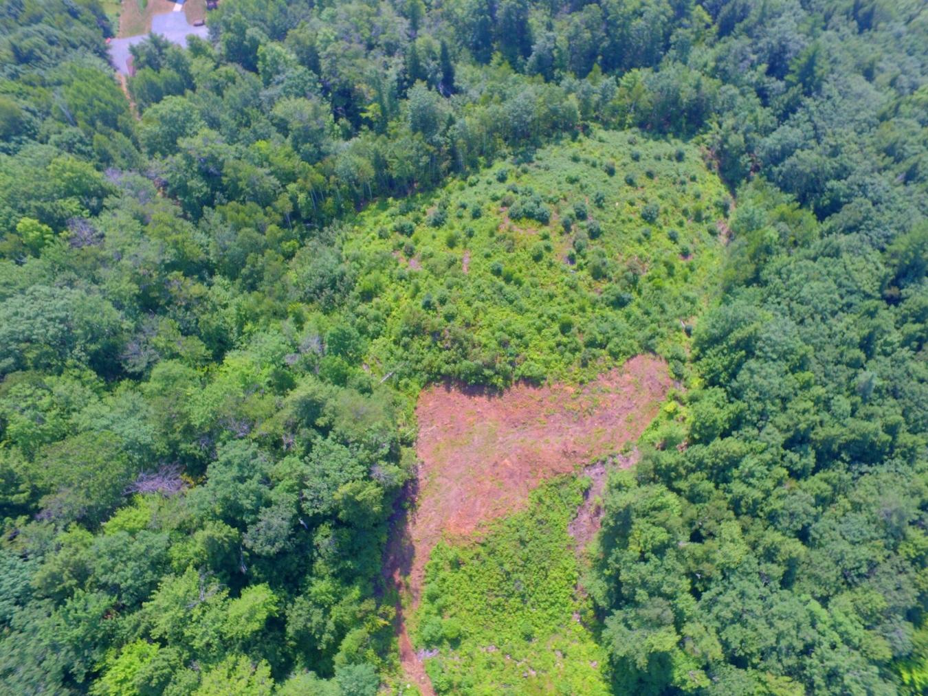 Privacy galore yet only 1 mile to downtown! This listing is comprised – image 9