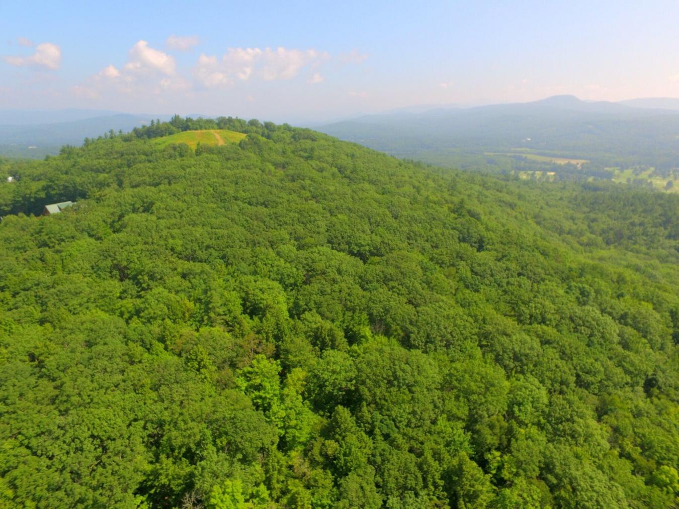 Privacy galore yet only 1 mile to downtown! This listing is comprised – image 10