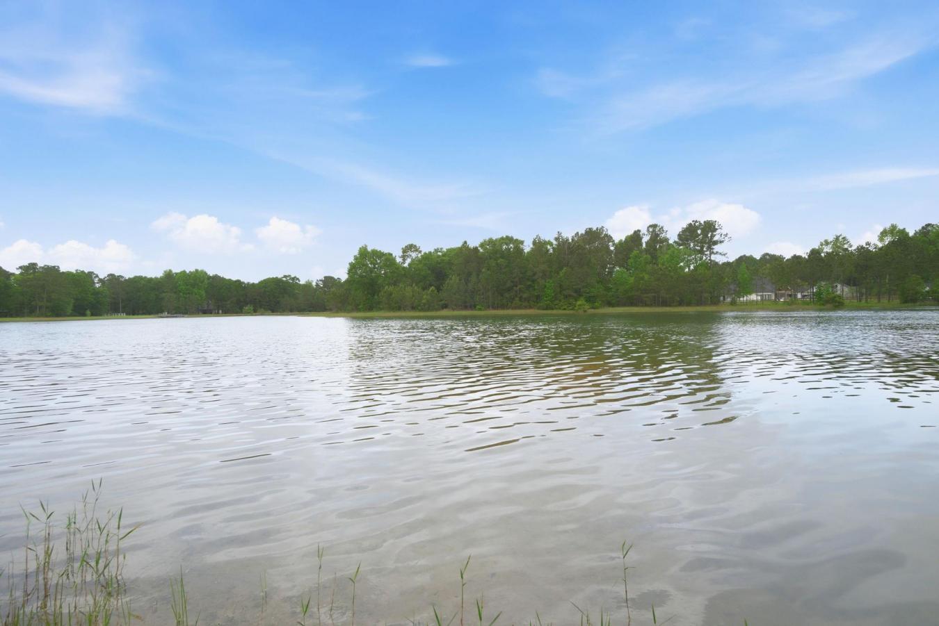 Waller, Grimes, 77484, United States, ,Residential,For Sale,2043740