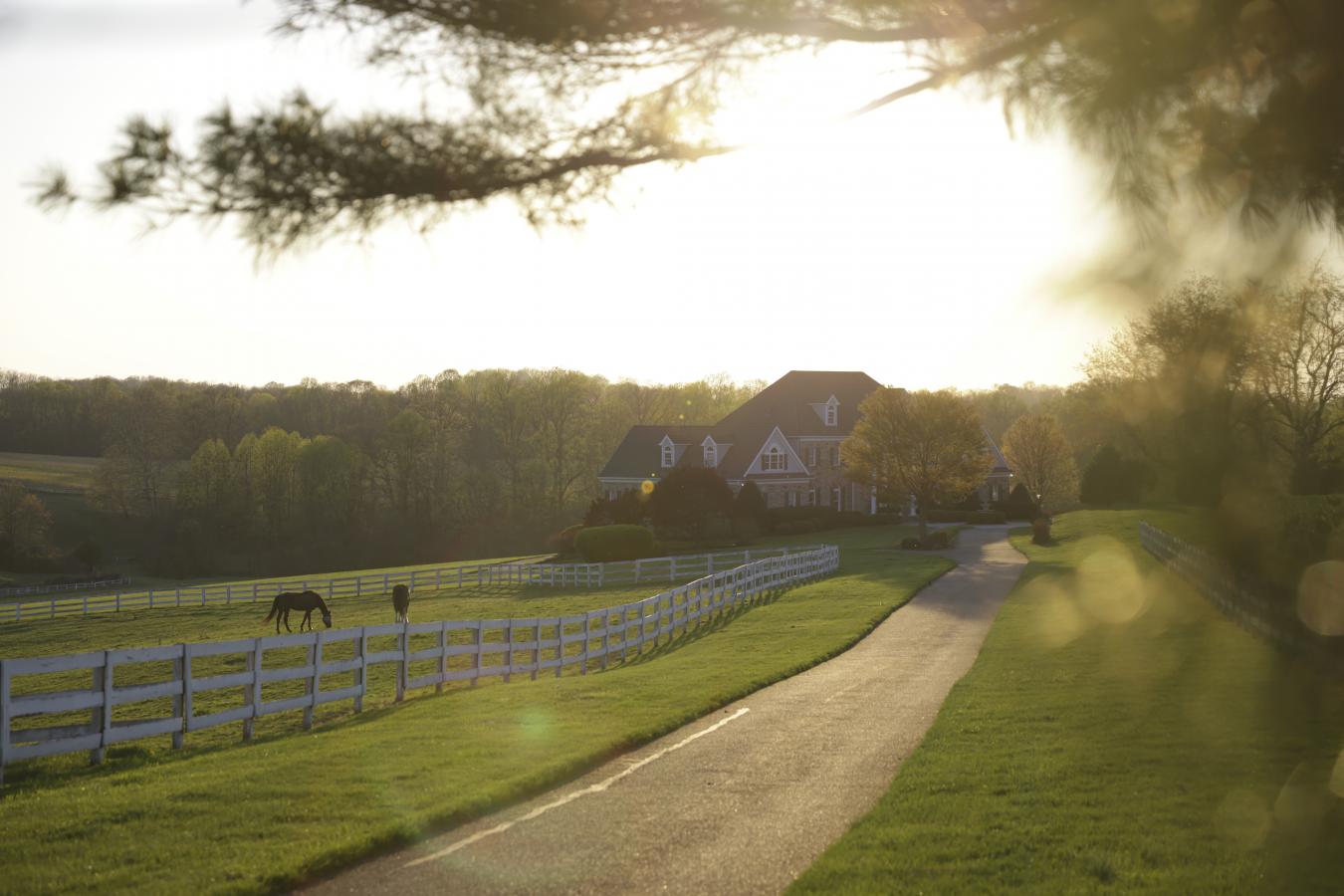 WHITE HALL, HARFORD, 21161, United States, 8 Bedrooms Bedrooms, ,5 BathroomsBathrooms,Residential,For Sale,2044446