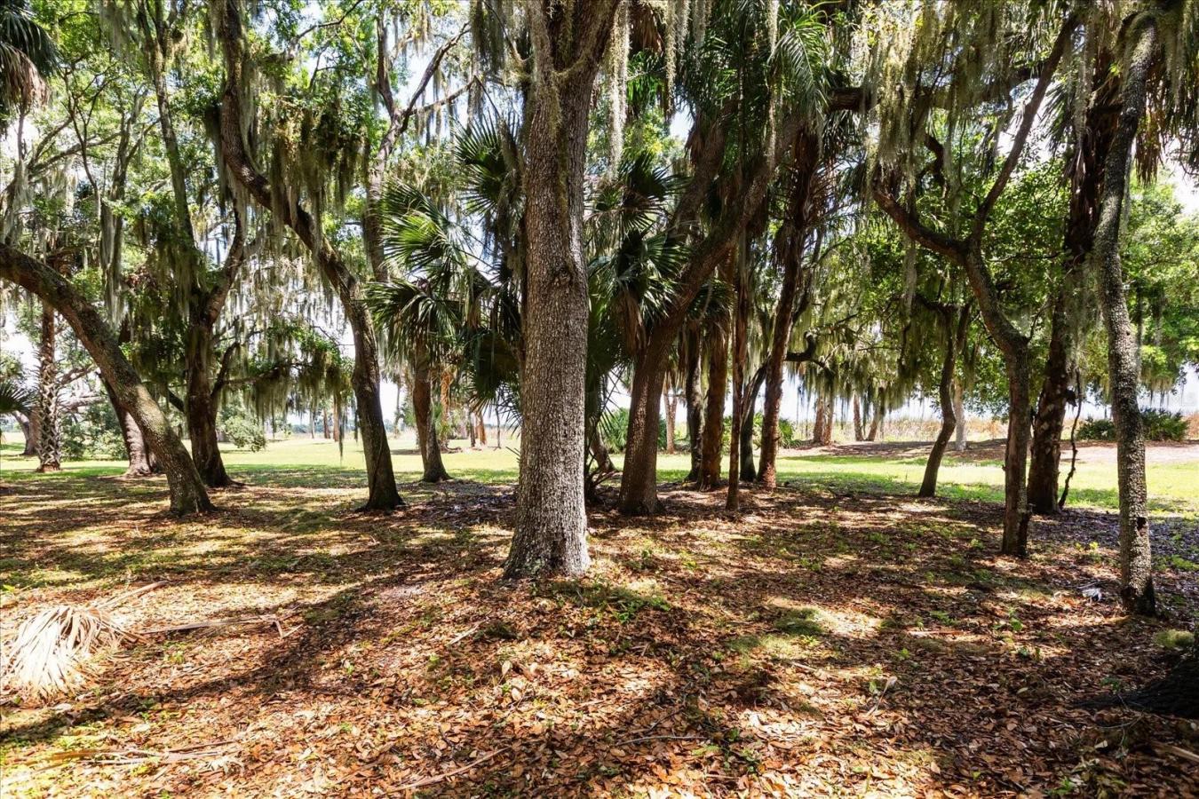 TAVARES, Lake, 32778, United States, ,Residential,For Sale,2044439