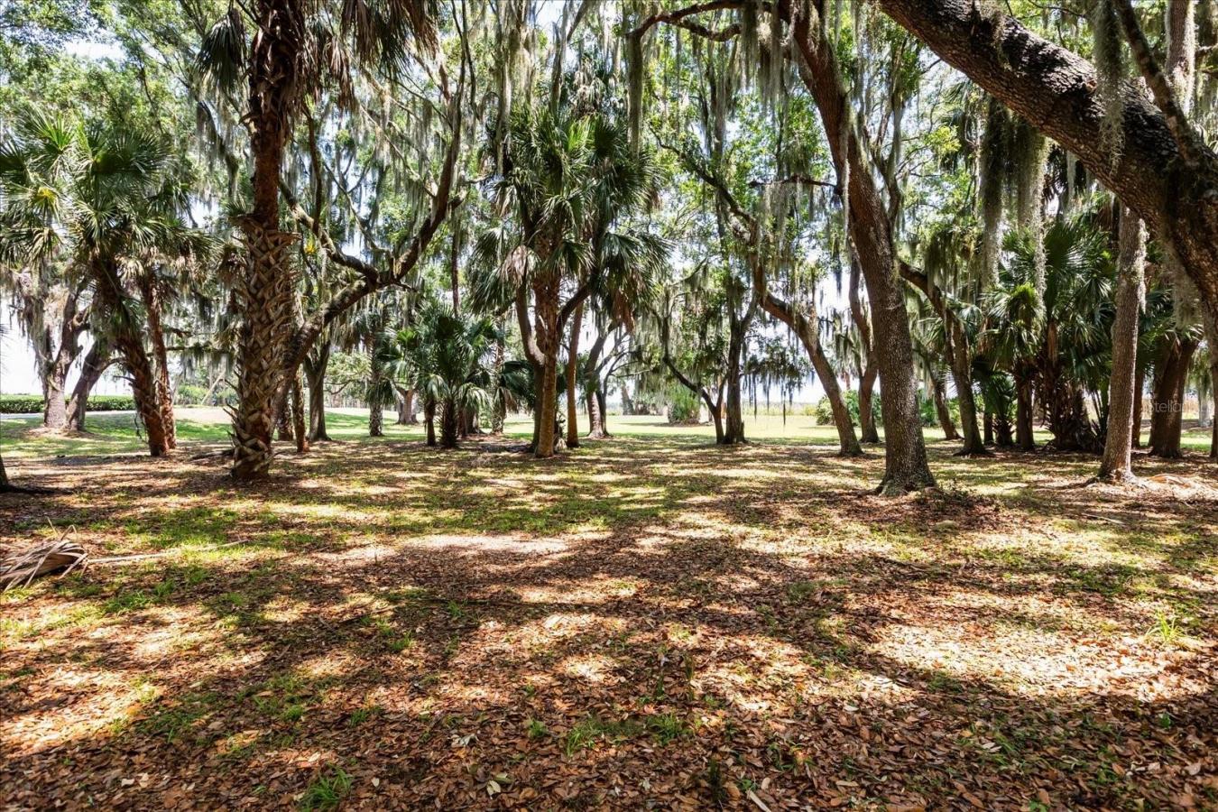 TAVARES, Lake, 32778, United States, ,Residential,For Sale,2044439