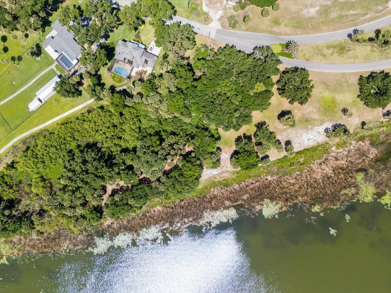 TAVARES, Lake, 32778, United States, ,Residential,For Sale,2044439