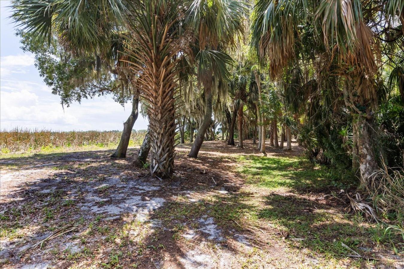 TAVARES, Lake, 32778, United States, ,Residential,For Sale,2044439