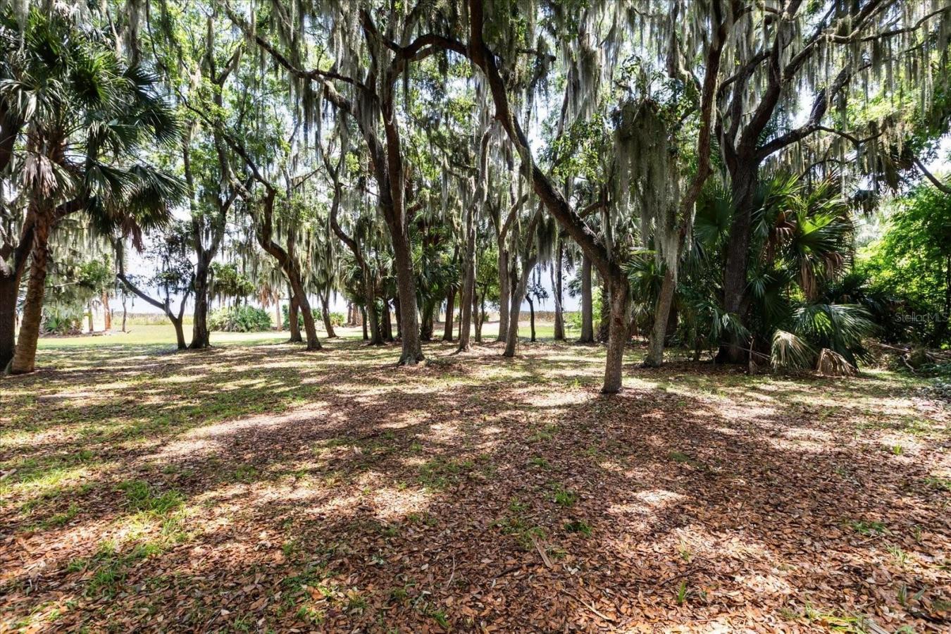 TAVARES, Lake, 32778, United States, ,Residential,For Sale,2044439