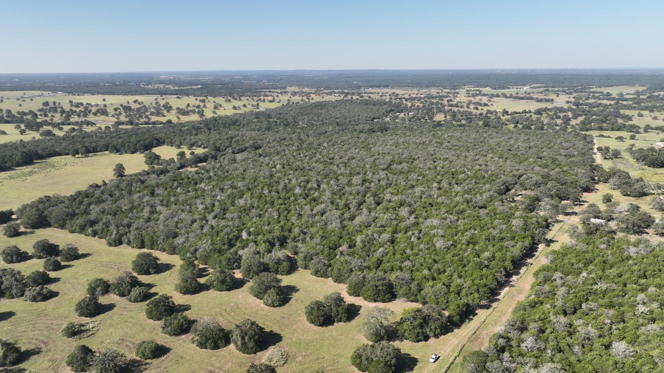 Smithville, Bastrop, 78957, United States, ,Residential,For Sale,2044911