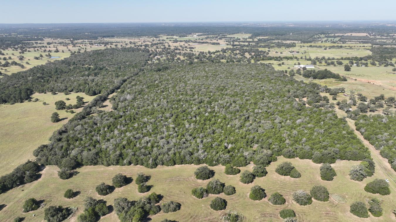Smithville, Bastrop, 78957, United States, ,Residential,For Sale,2044911