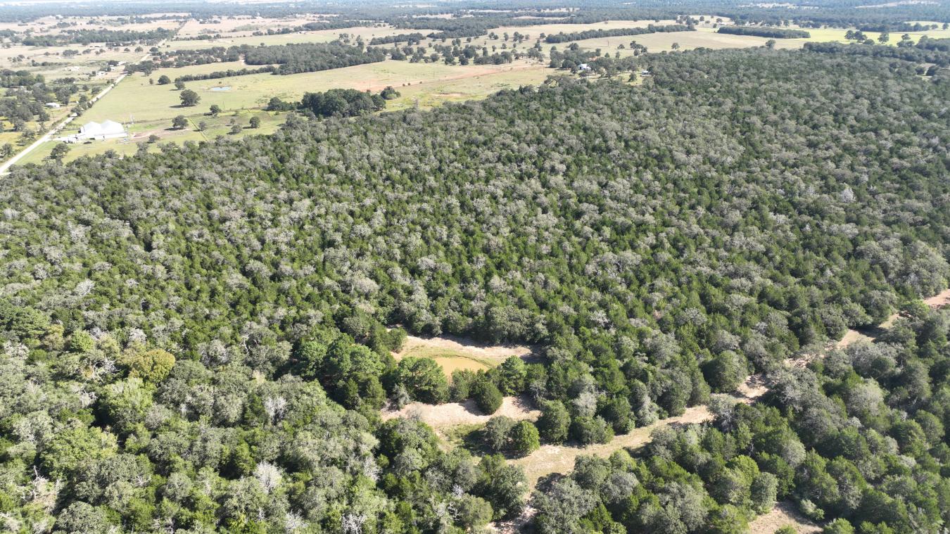 Smithville, Bastrop, 78957, United States, ,Residential,For Sale,2044911