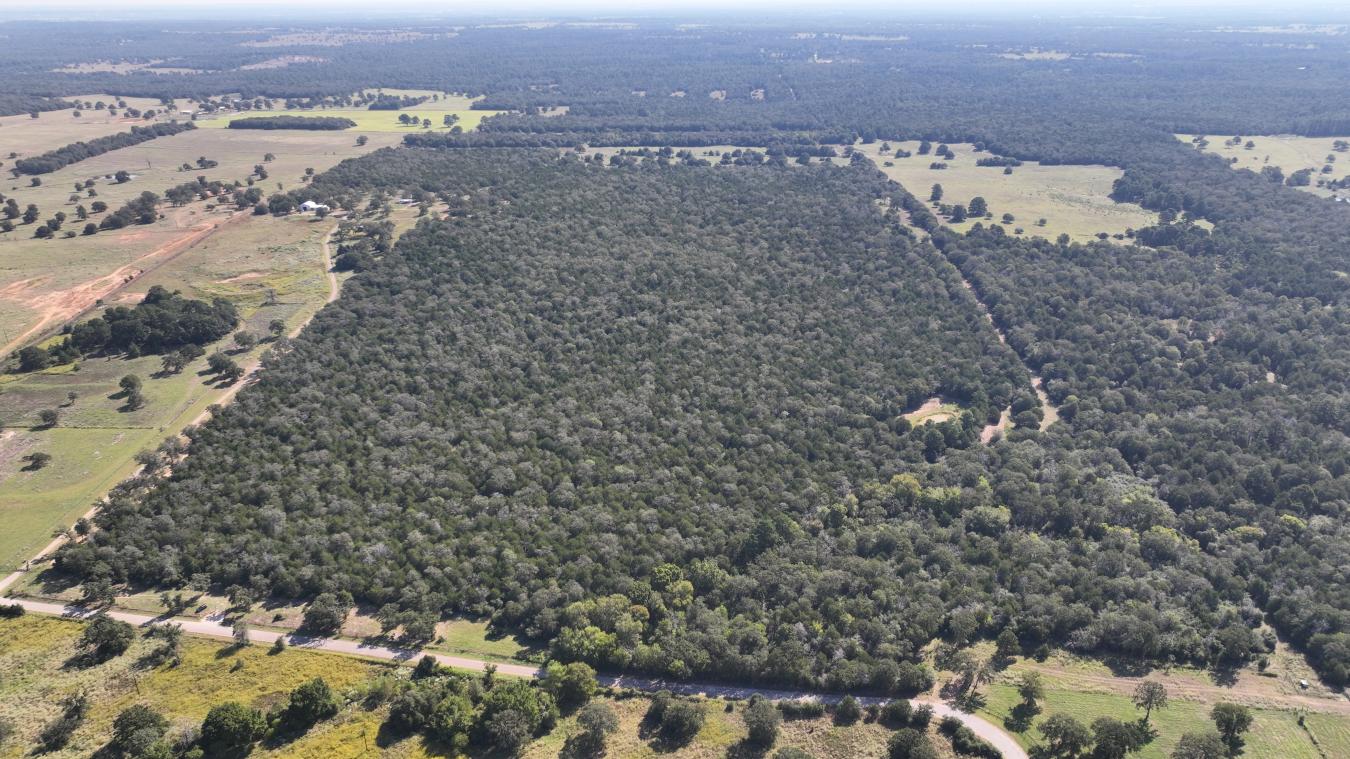 Smithville, Bastrop, 78957, United States, ,Residential,For Sale,2044911