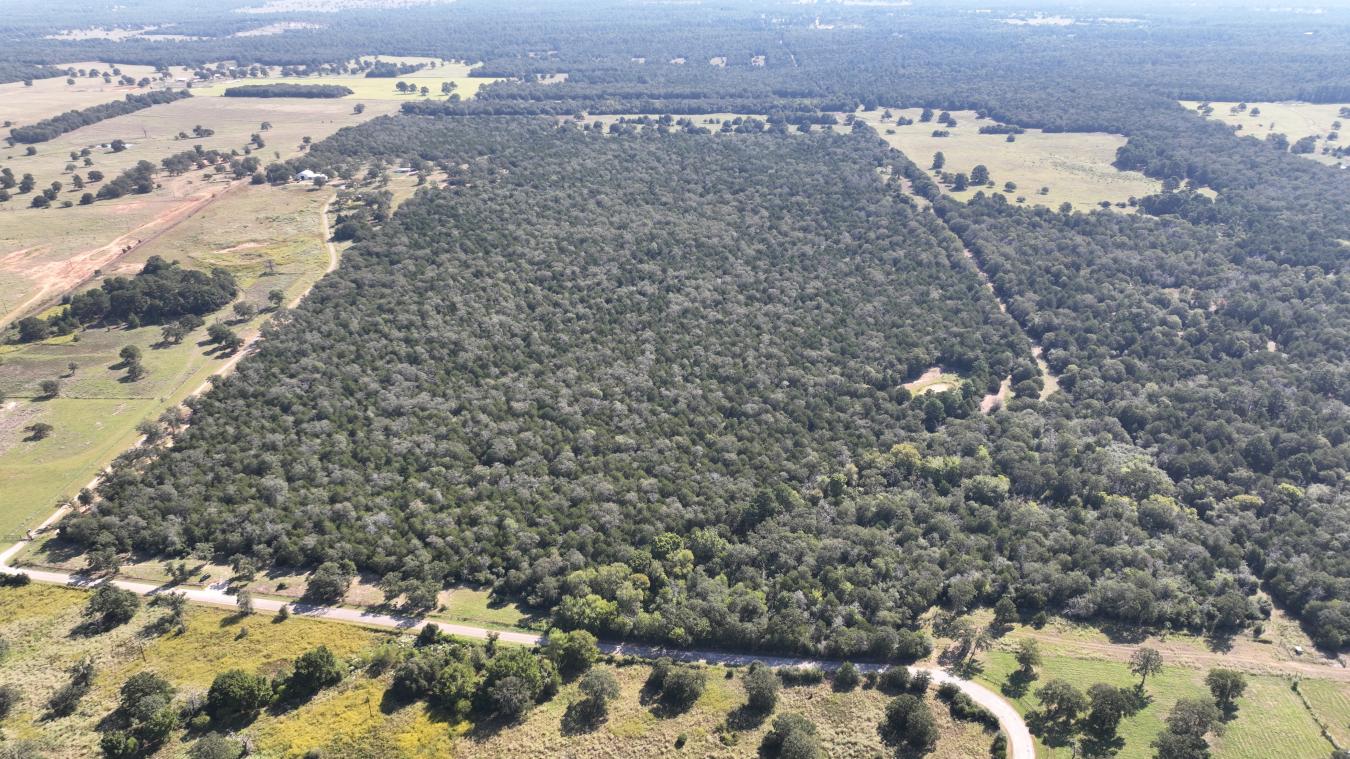 Smithville, Bastrop, 78957, United States, ,Residential,For Sale,2044911