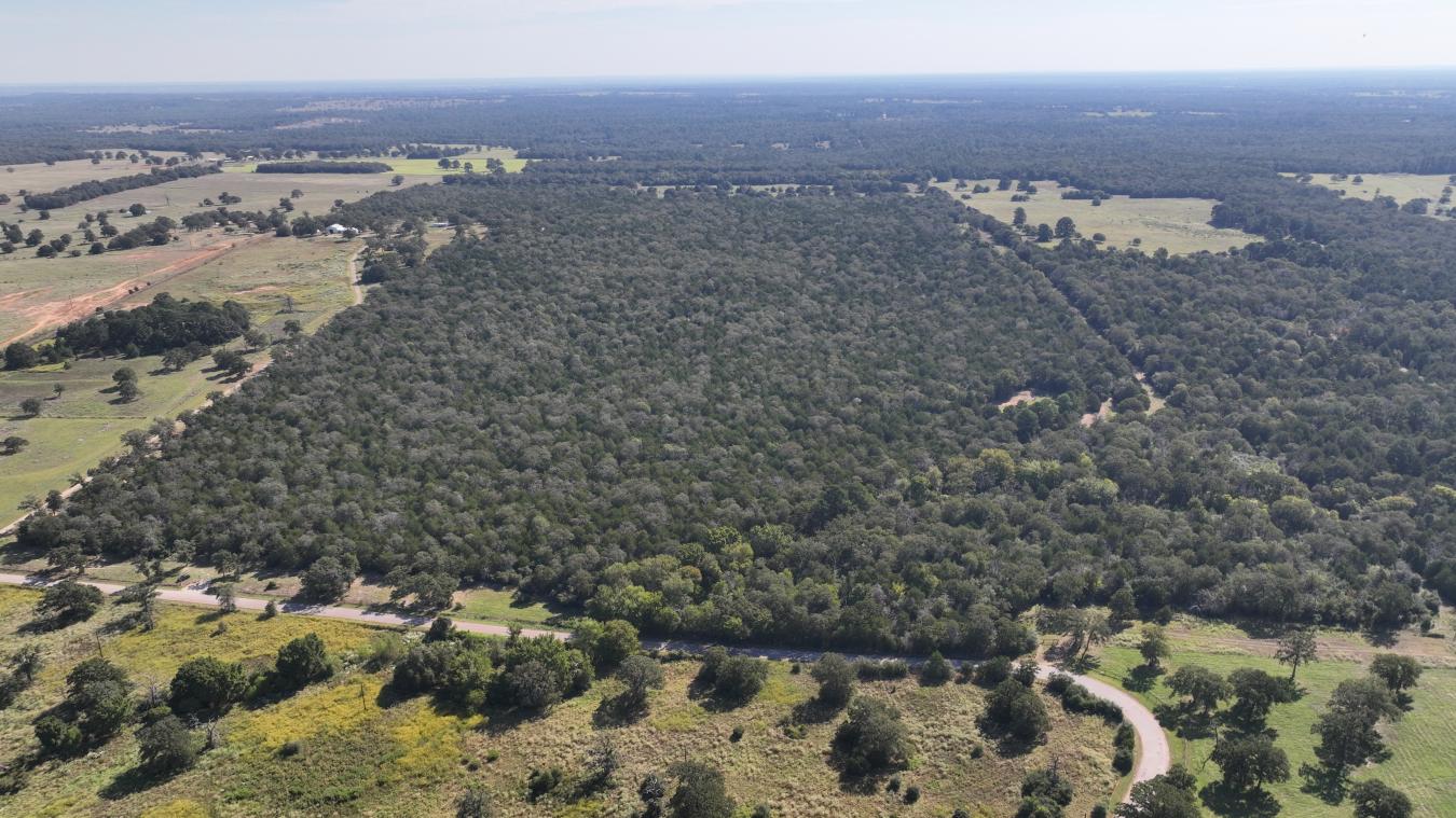 Smithville, Bastrop, 78957, United States, ,Residential,For Sale,2044911