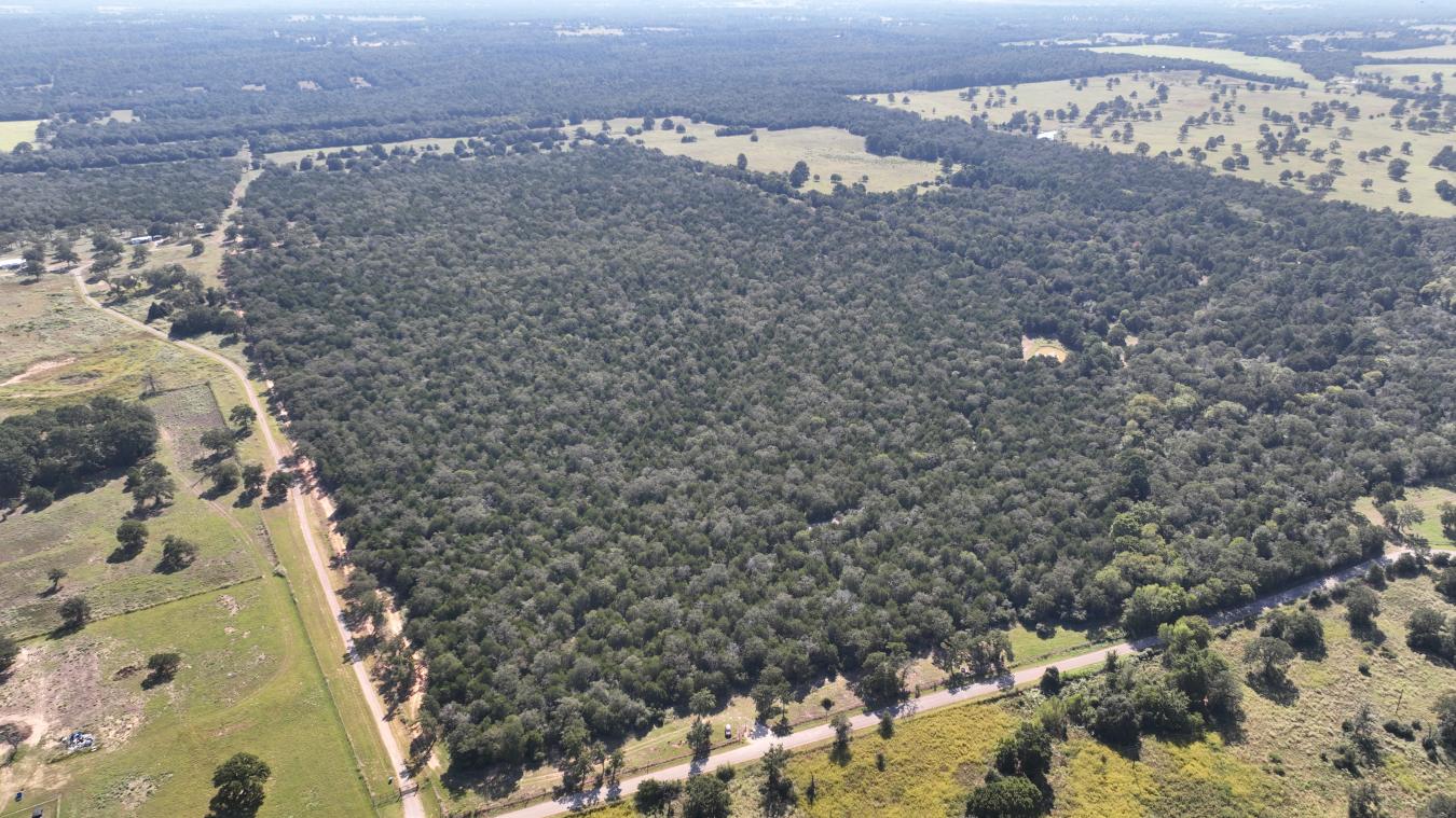 Smithville, Bastrop, 78957, United States, ,Residential,For Sale,2044911
