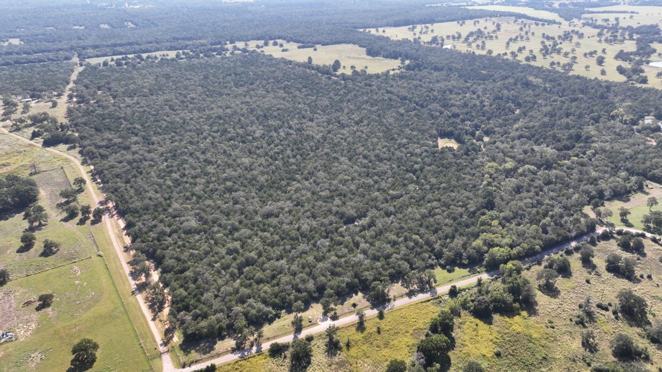 Smithville, Bastrop, 78957, United States, ,Residential,For Sale,2044911