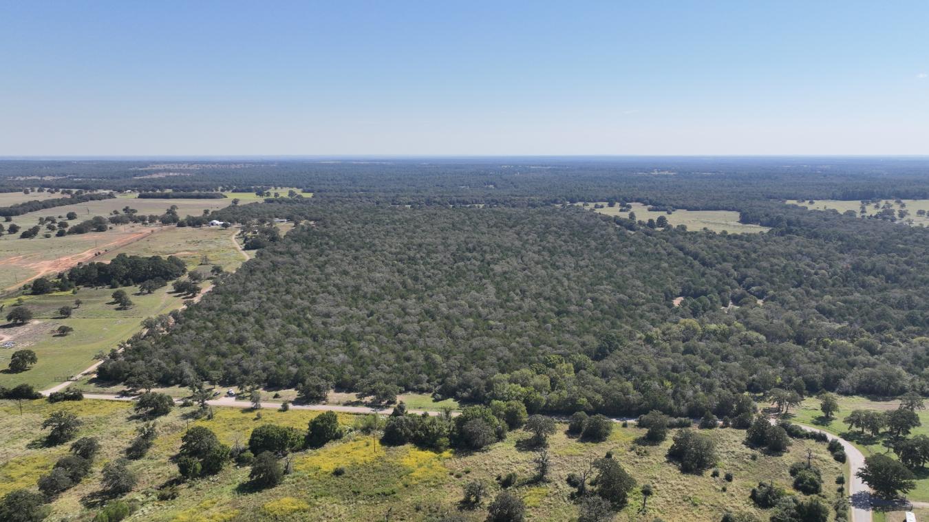 Smithville, Bastrop, 78957, United States, ,Residential,For Sale,2044911
