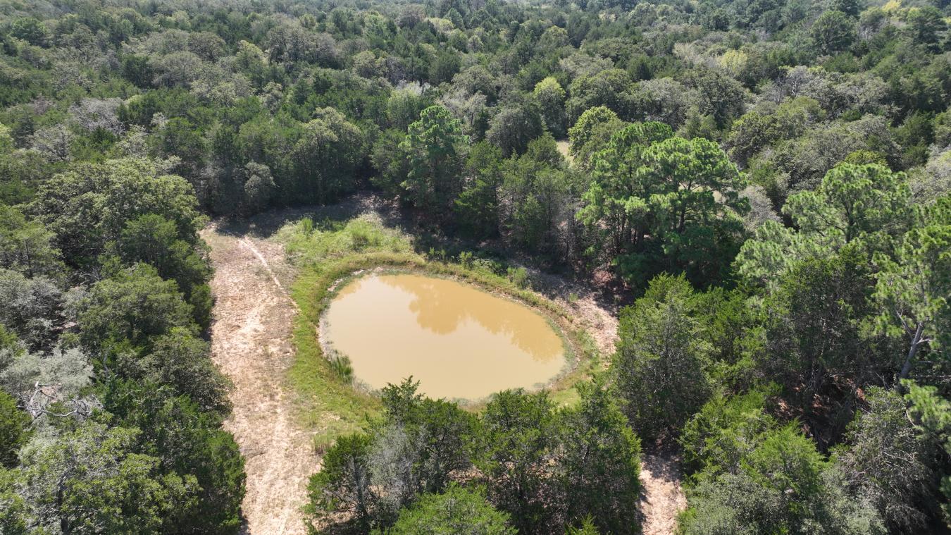 Smithville, Bastrop, 78957, United States, ,Residential,For Sale,2044911