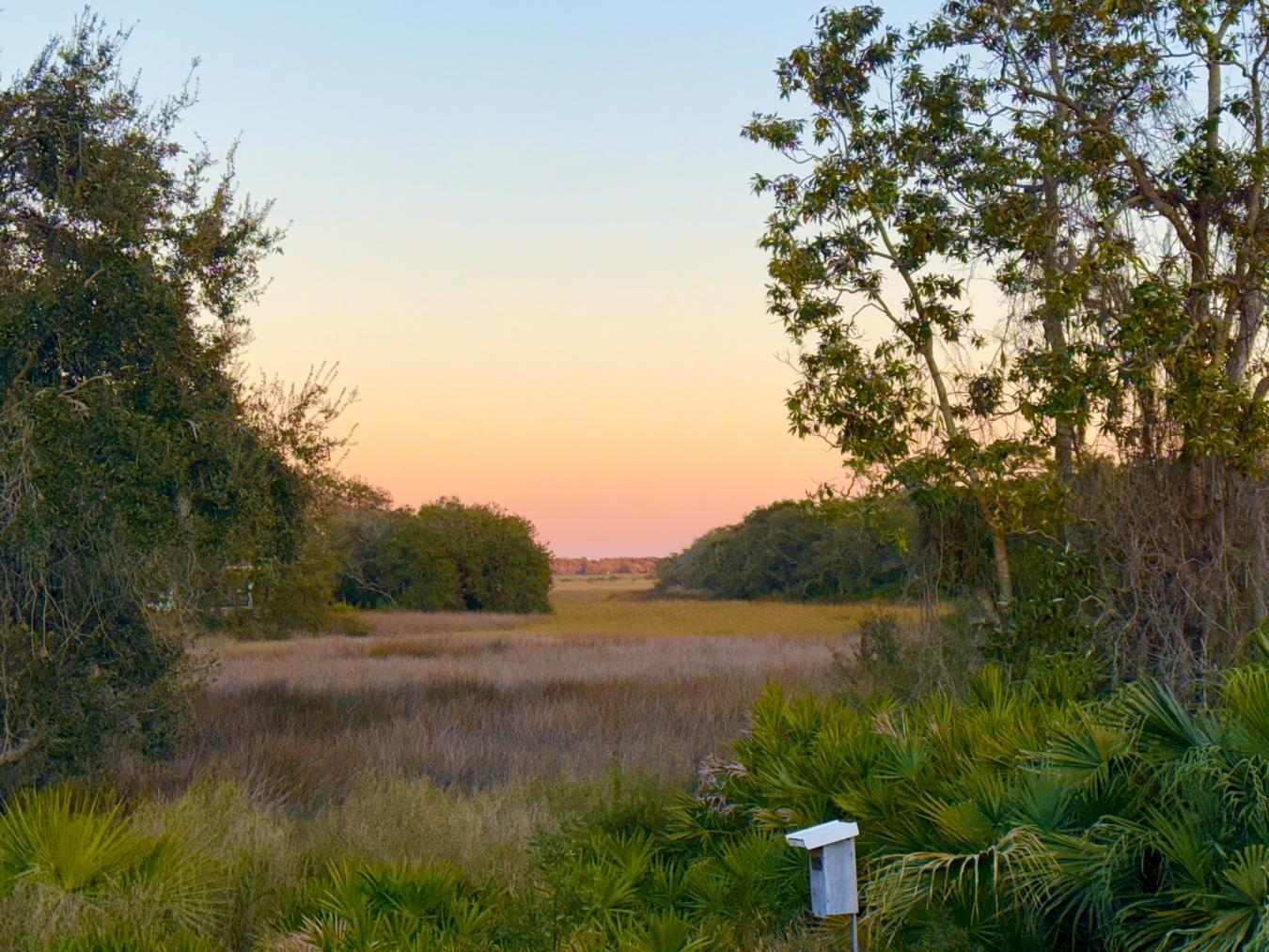 St Augustine, Florida, 32086, United States, 3 Bedrooms Bedrooms, ,3 BathroomsBathrooms,Residential,For Sale,2044869