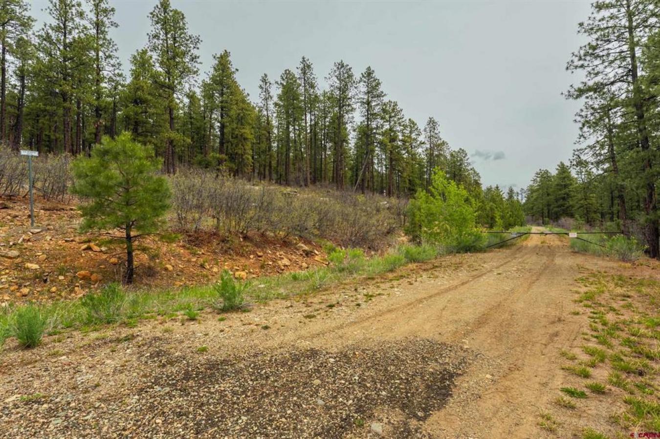 Durango, La Plata, 81301, United States, ,Residential,For Sale,2049929