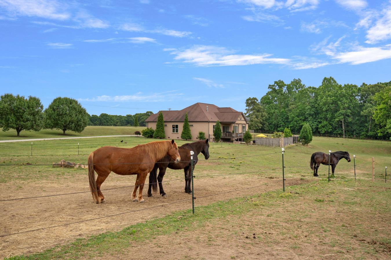 Catawba, Catawba, 28609, United States, 3 Bedrooms Bedrooms, ,5 BathroomsBathrooms,Residential,For Sale,2049838