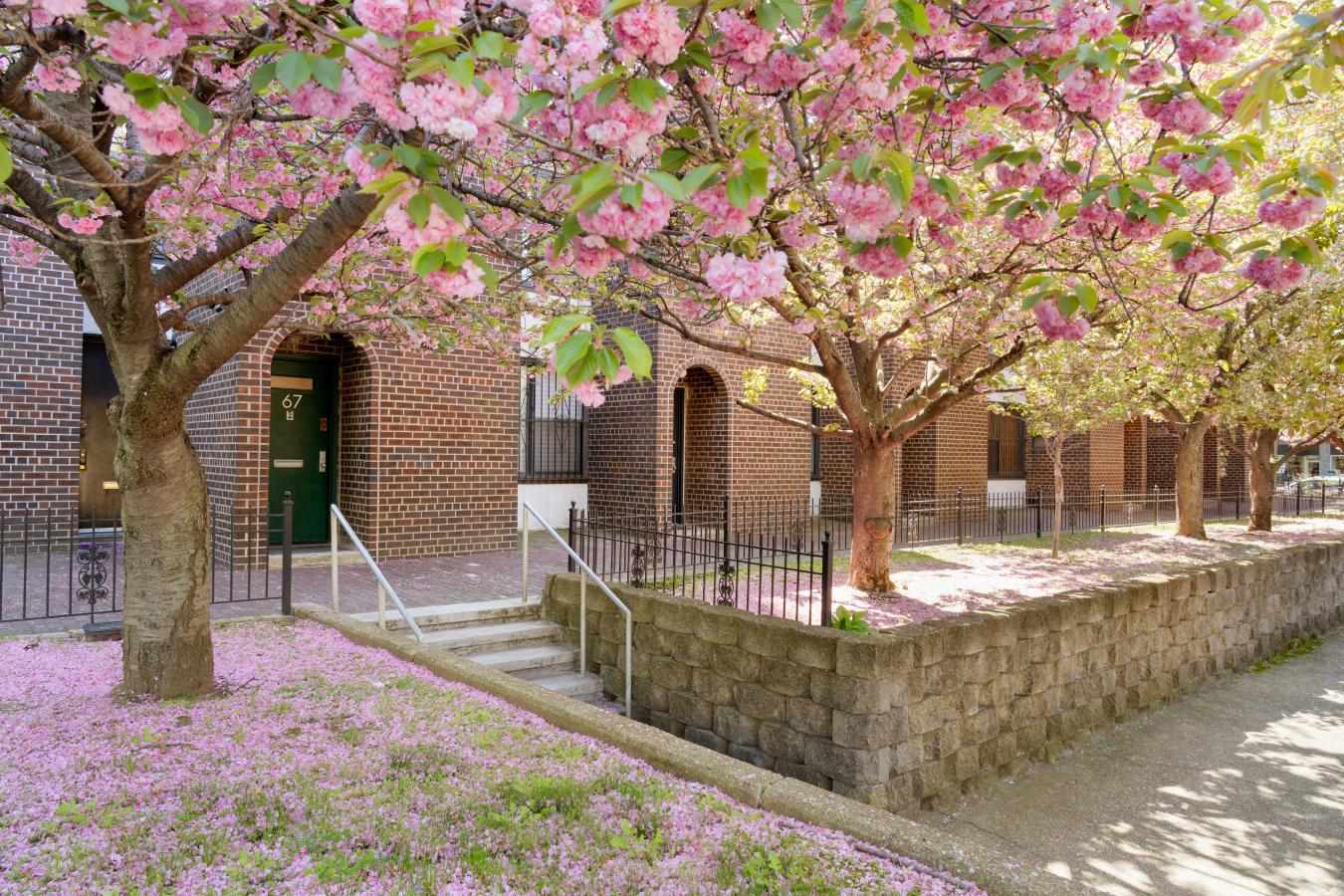 Brooklyn Heights, New York, 11201, United States, 3 Bedrooms Bedrooms, ,2 BathroomsBathrooms,Residential,For Sale,2049653