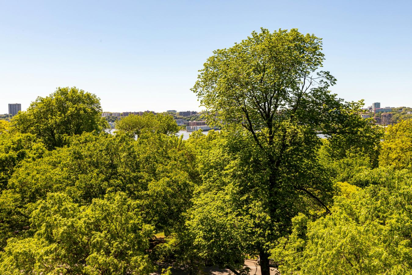 New York, New York, 10025, United States, 3 Bedrooms Bedrooms, ,3 BathroomsBathrooms,Residential,For Sale,2049623