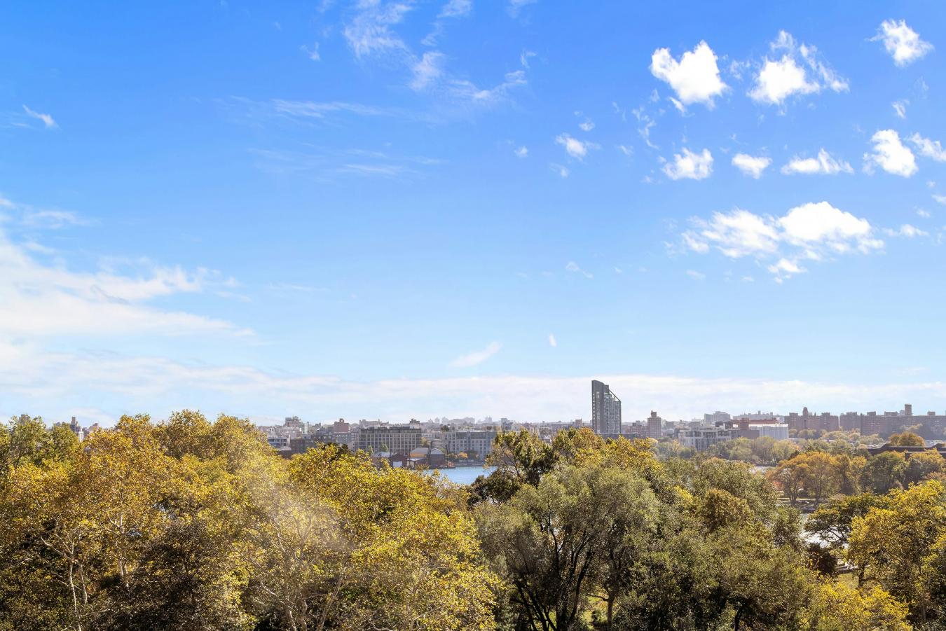 New York, New York, 10028, United States, 3 Bedrooms Bedrooms, ,2 BathroomsBathrooms,Residential,For Sale,2049622