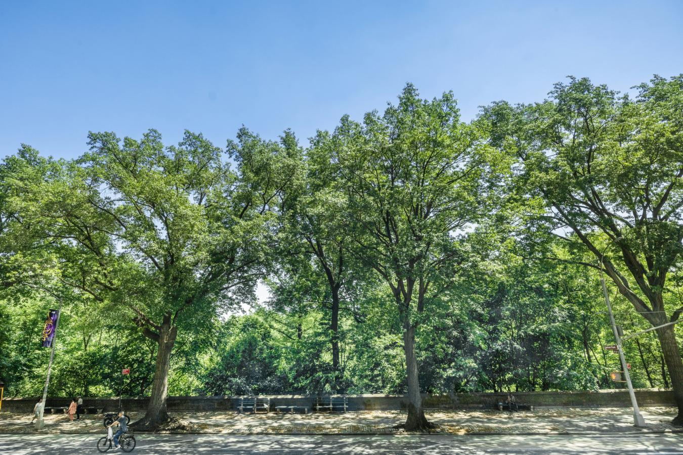 New York, New York, 10025, United States, 2 Bedrooms Bedrooms, ,1 BathroomBathrooms,Residential,For Sale,2049581