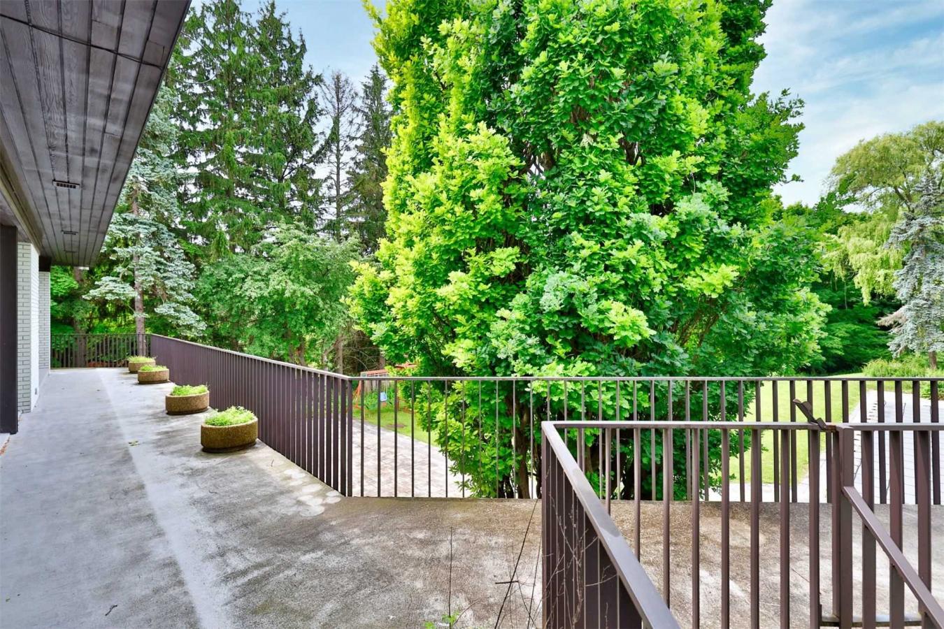6+ Acres On Ravine - A Rare Bridle Path Find. A Truly Remarkable & – image 6