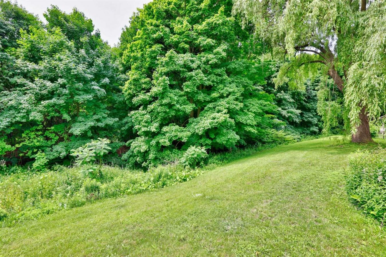 6+ Acres On Ravine - A Rare Bridle Path Find. A Truly Remarkable & – image 8