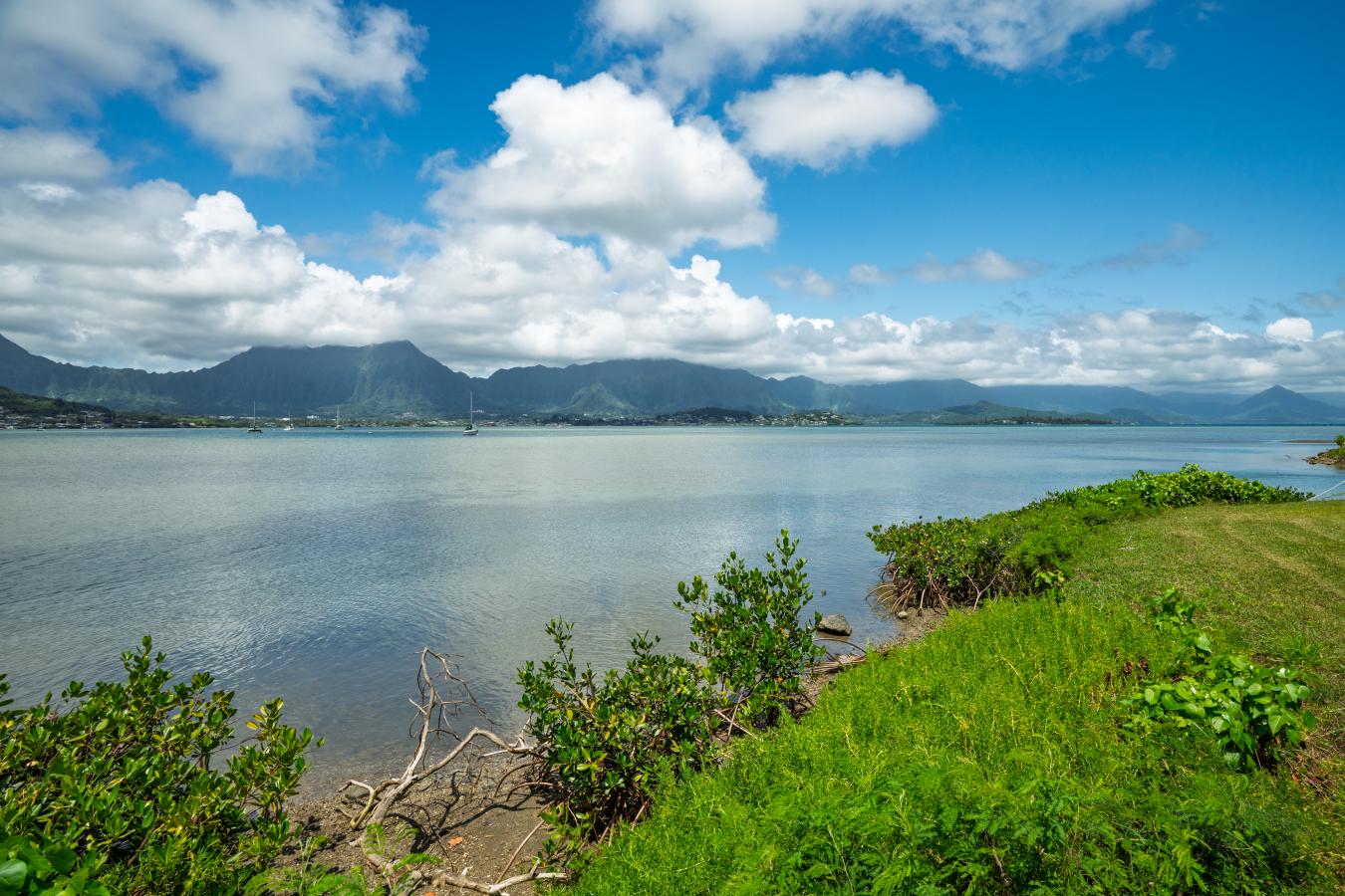 A rare opportunity to create a legacy waterfront estate on one of Kane – image 20