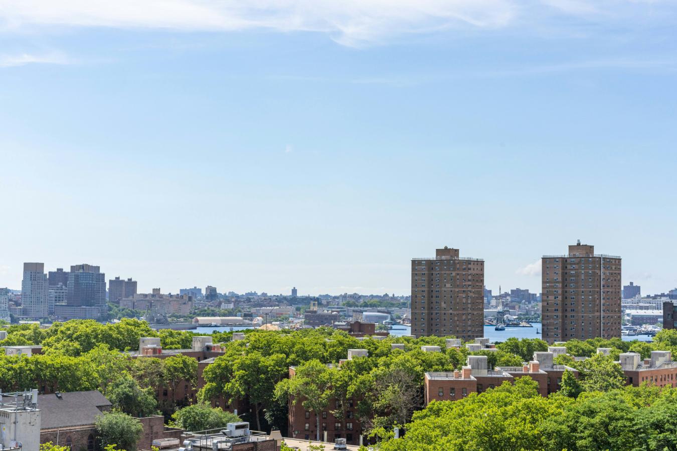 264 EAST BROADWAY, Lower East Side, NY, 10002, United States, 2 Bedrooms Bedrooms, ,2 BathroomsBathrooms,Residential,For Sale,264 EAST BROADWAY,228232