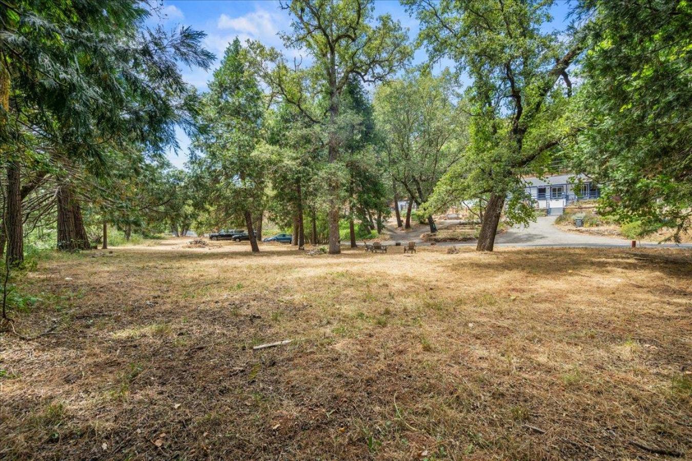 1780 Volley Road, Meadow Vista, Placer, 95722, United States, ,Residential,For Sale,1780 Volley Road,228640