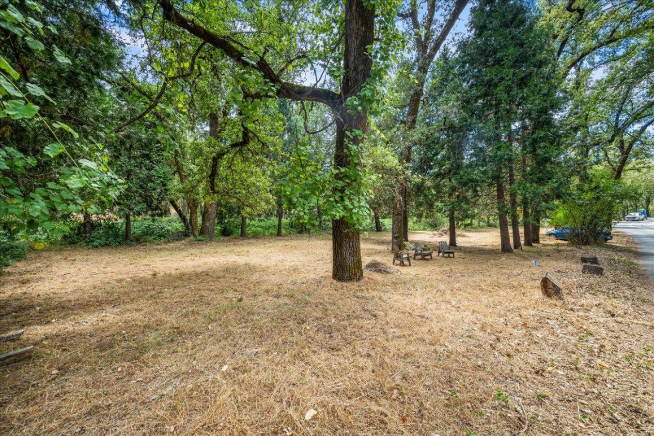 1780 Volley Road, Meadow Vista, Placer, 95722, United States, ,Residential,For Sale,1780 Volley Road,228640