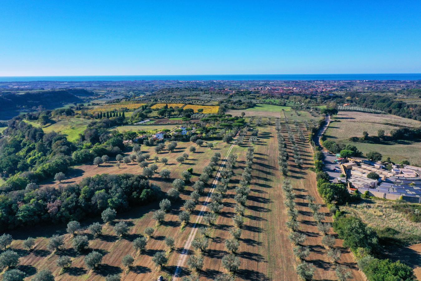 25 Miles Northwest of Rome, Rome, RM, Italy, 15 Bedrooms Bedrooms, ,19 BathroomsBathrooms,Residential,For Sale,25 Miles Northwest of Rome,1202772