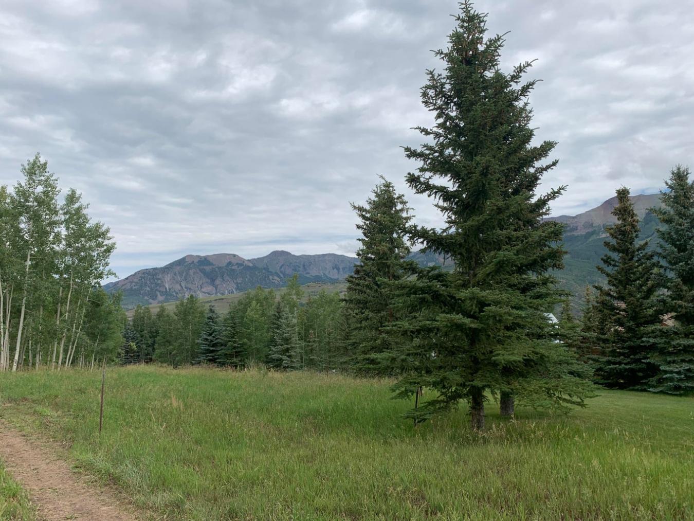 TBD Eagle Drive, Mountain Village, CO, 81435, United States, ,Residential,For Sale,TBD Eagle Drive,1230347