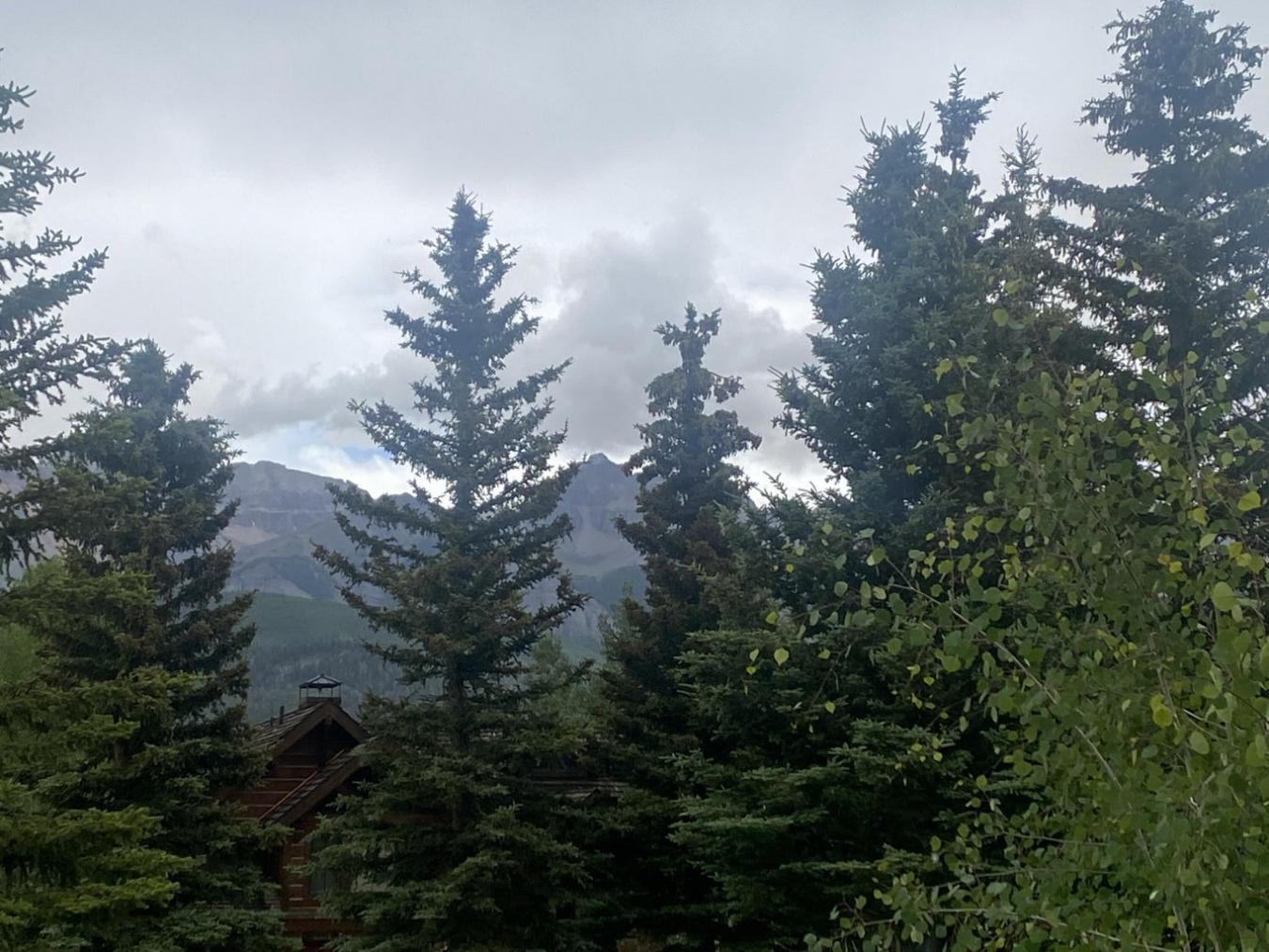 TBD Eagle Drive, Mountain Village, CO, 81435, United States, ,Residential,For Sale,TBD Eagle Drive,1230347