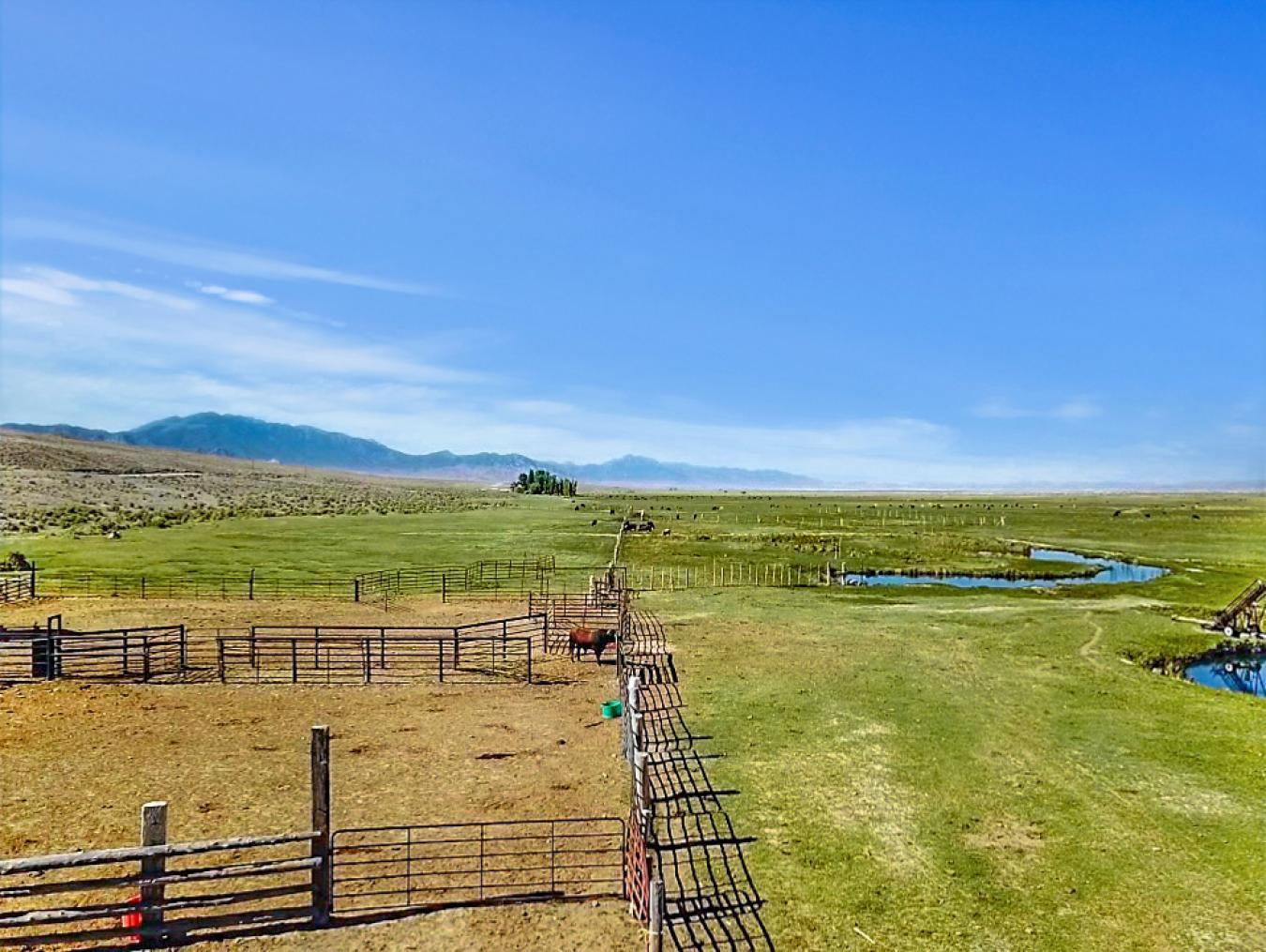 947277 Railroad Valley Road, Tonopah, Nevada, 89049, United States, 2 Bedrooms Bedrooms, ,1 BathroomBathrooms,Residential,For Sale,947277 Railroad Valley Road,1236076